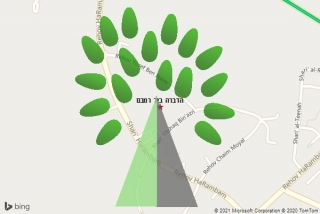מדביר ביד רמבם - הדברה ביד רמבם