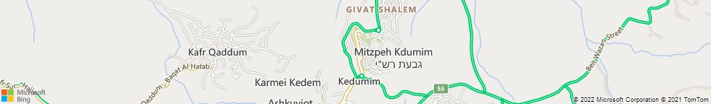 הדברות בצופיה