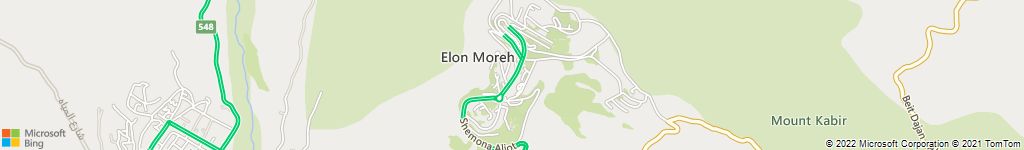 הרחקות יונים באלון מורה