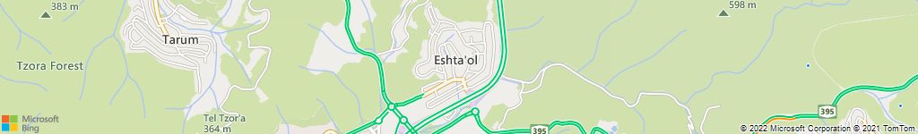 הרחקות יונים באשתאול