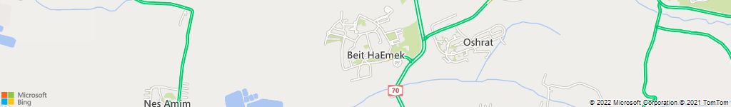 הרחקות יונים בבית העמק