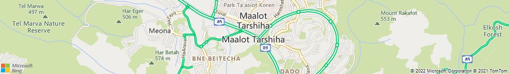 הרחקות יונים במעלות תרשיחא