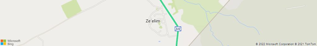 הרחקות יונים בצאלים