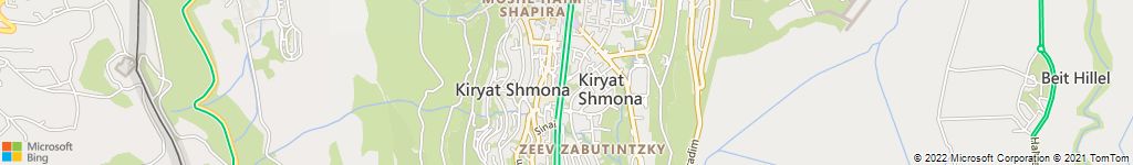 הרחקות יונים בקריית שמונה