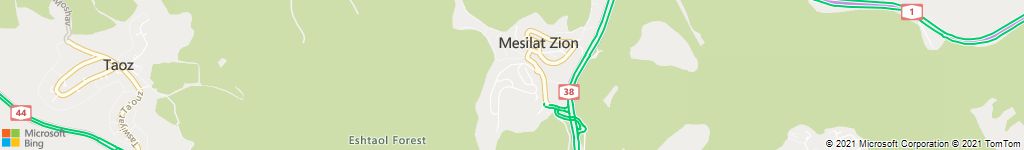 לוכד חולדות במסילת ציון
