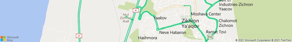 לוכד חולדות במעין צבי
