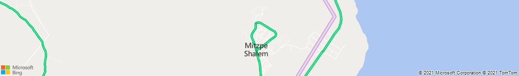 לוכד חולדות במצפה שלם