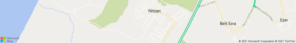 ניצן