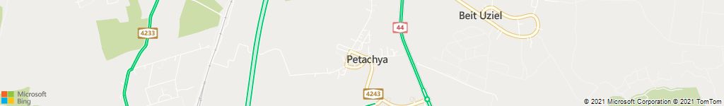 פינוי פגרים בפתחיה