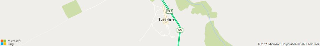 צאלים