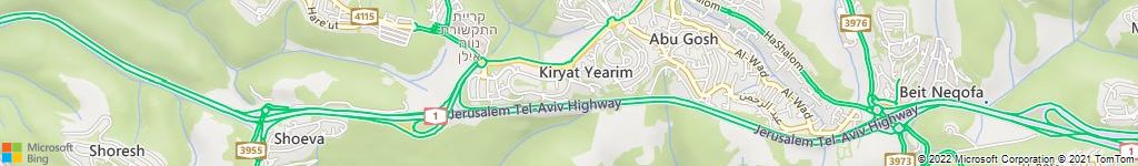 שירותי הדברה ירוקה בקריית יערים טלזסטון