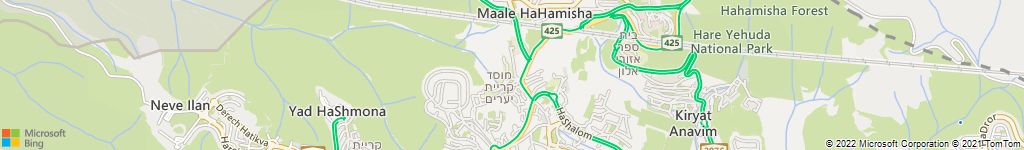שירותי ריסוס בידידה